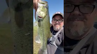 Number 2 bass. Fishing local pond.