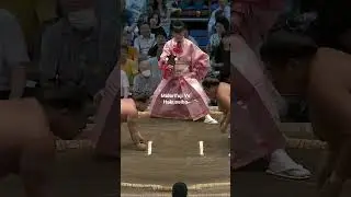 midorifuji Vs hakuseiho