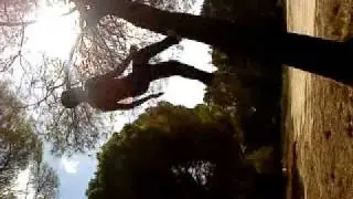 MOV00534