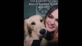 Yo the way the dogs mouth opened 😭💀💀    #funny #memes #dog #dogs #cute #viral #video #viralvideo
