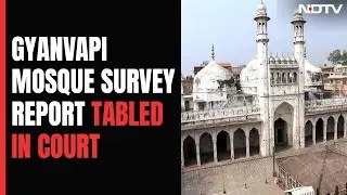 Gyanvapi Mosque Survey Report Submitted In Court By Archaeological Body