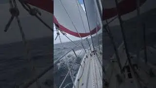 Halcyon sailing Genoa only