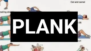 Basic Plank, Elbow Plank, Leg Raised Plank, One Side Plank