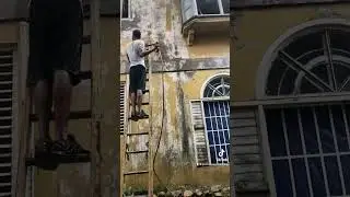 Paint Stripping Jamaica 101