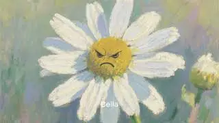 The Garden of Different Flowers(Accept others)