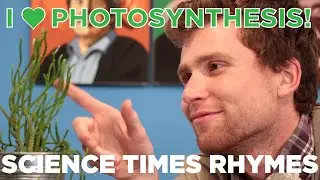 Science &times; Rhymes (#3) Photosynthesis