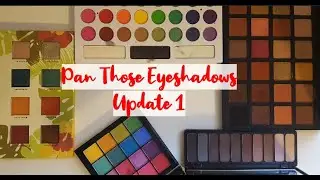 Pan Those Eyeshadows 2020 | Update 1
