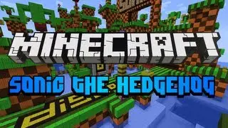 Minecraft: Sonic The Hedgehog! by FVdisco