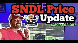 SNDL Update After Earnings New Price Targets