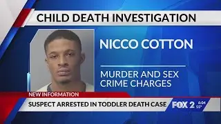 2-year-old&rsquo;s death caused by sexual assault: SLMPD