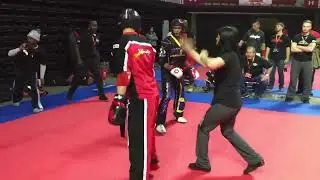 Bailey Murphy vs Hector Solory   Point Fighting - Amerikick Internationals