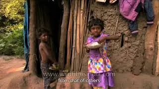 Tree house dwellers of India