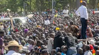 live'president ruto nyota capital disbursement