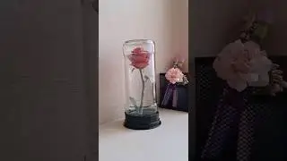 Making ✨Aesthetic Rose Jar✨ | diy jar ideas #shorts #diy #craft