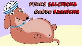 Cancion viral de TikTok:  Perro salchicha gordo Bachicha  / Animaci&oacute;n