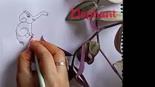Elephant drawing number with 66.@kanonsArtGallery25 