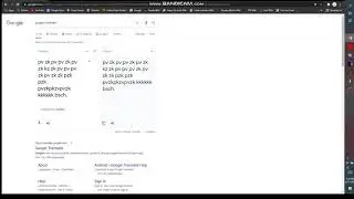 The Average Google Translate Experience.