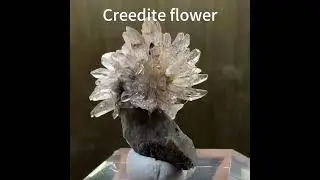 Creedite flower #artwork #displayspecimens #art #minerals #rarestone #chineseminerals #fluorite
