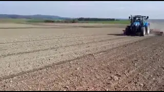 Rollstriegel