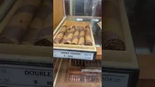 Cigar shop on Bourbon St NOLA #shorts