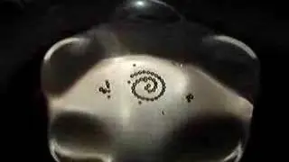 pentagonal planetarium cell