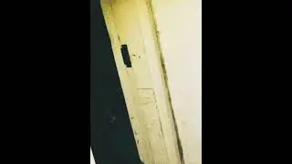 Baba Yaga caught on camera (found footage) very scary