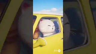 slow drive _ cat