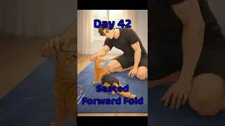 Day 42 of my 60 second hamstring stretch challenge