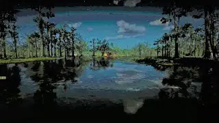 Swamp Atmosphere - The Sounds of the Night Forest - 1 Hour