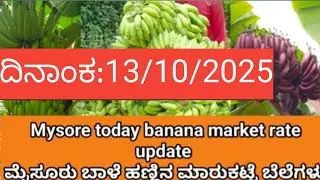 Обновление курса бананового рынка Майсура на сегодня / 13.10.2025