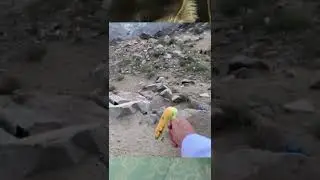 #tiktokhai  #suhuongtiktok #haihuoc
