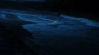 Calm Beachfront Vibrations: Subtle Sounds for Deep Rest, Cognitive Sharpness and Hush