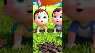 Toy Car Under Leaves | Surprise Discovery for Kids 🌈