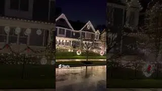 Naperville Landscaping | The Most Insane Christmas Lights You'll Ever See!