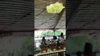 Floating Restaurant #travel #floatingrestaurant #lobocriver  #lobocrivercruise #philippines