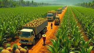 How Millions of PINEAPPLES are Processed Daily in the Countryside 🍍