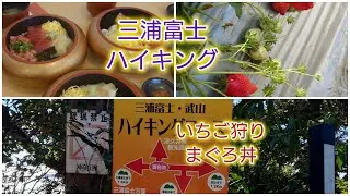 25/2/19 三浦富士ハイキング　いちご狩り