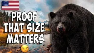 Ranking the Top 6 LARGEST American Predators