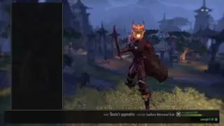 Magic Dragonknight build - Morrowind (PvP)