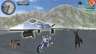 Super Miami Girl : City Dog Crime #52 New Plane Unlocked F117 Nighthawk
