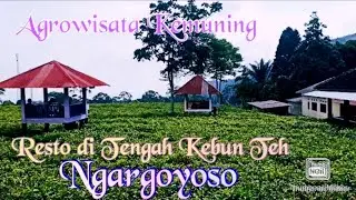 Agro Wisata Kemuning (Resto Kemuning) #Ngargoyoso #RestoKemuning