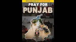 Muslim Help In Punjab Flood #viralvideo #facts #shorts