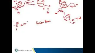 2021 11 03 carbasugars and C glycosides