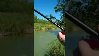 Stalking carp by Andrew holden