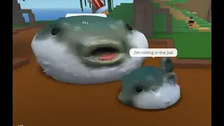 pufferfish family