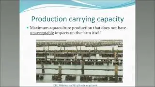 Understanding the 5% Rule for the Coastal Salt Ponds