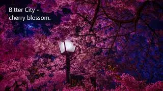 🖤 Bitter City - cherry blossom.