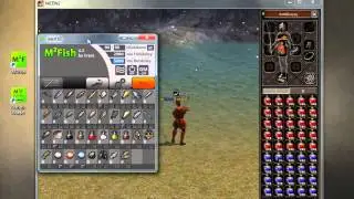 Metin2 FishBot 4.4 Working (Elitepvpers)