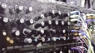 Raw Modular Techno | DFAM Kick Engine + Disting EX Quad Quantizer
