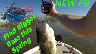Biggest Fish Of My Life -GIANT spring bass